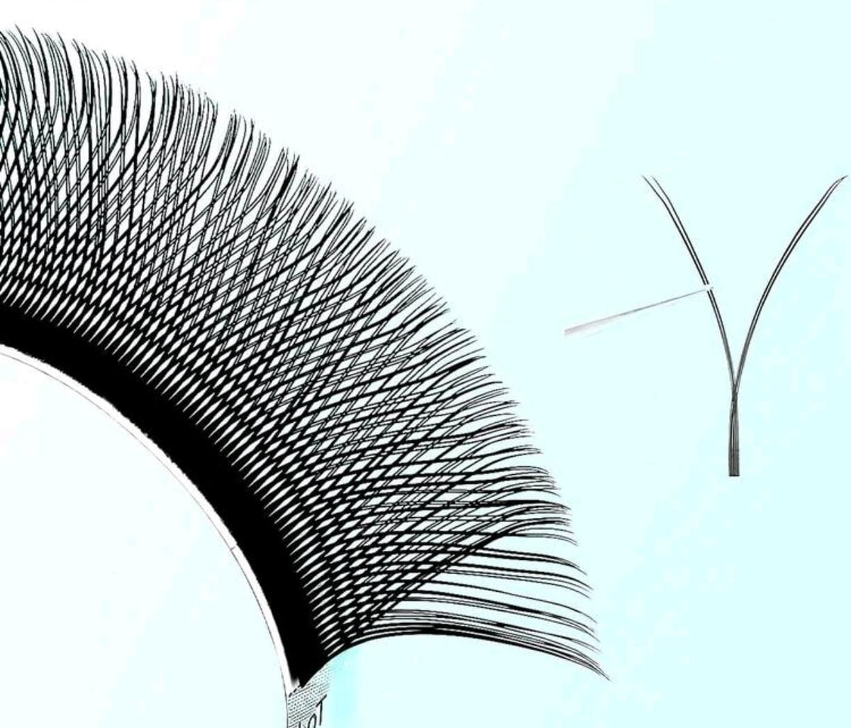 YY Lashes